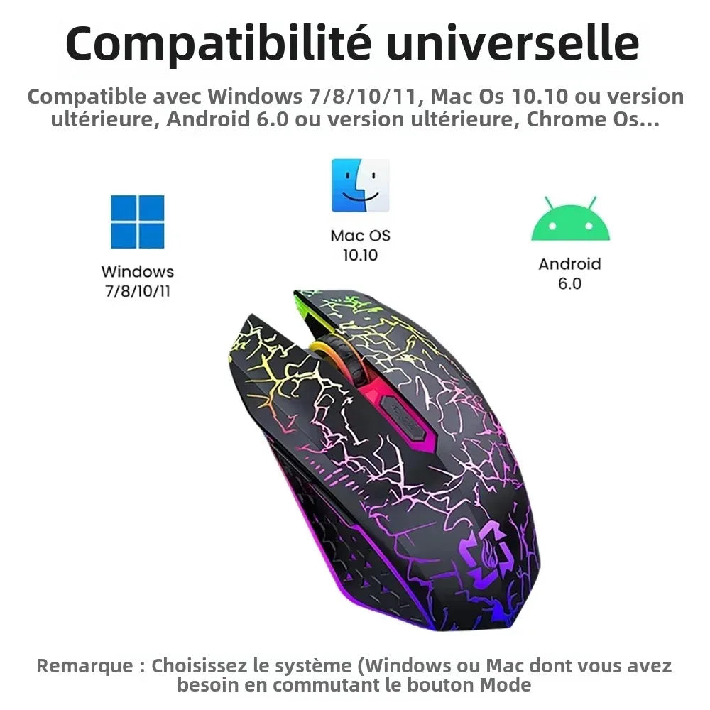 Souris Bluetooth 5.2 Souris sans fil RGB 2.4G Souris de jeu à double mode 6 boutons Souris silencieuse pour MacBook Tablet Ordinateurs portables Ordinateur