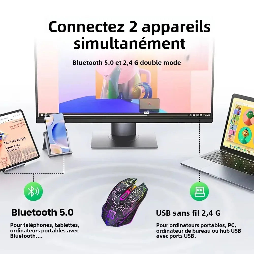 Souris Bluetooth 5.2 Souris sans fil RGB 2.4G Souris de jeu à double mode 6 boutons Souris silencieuse pour MacBook Tablet Ordinateurs portables Ordinateur